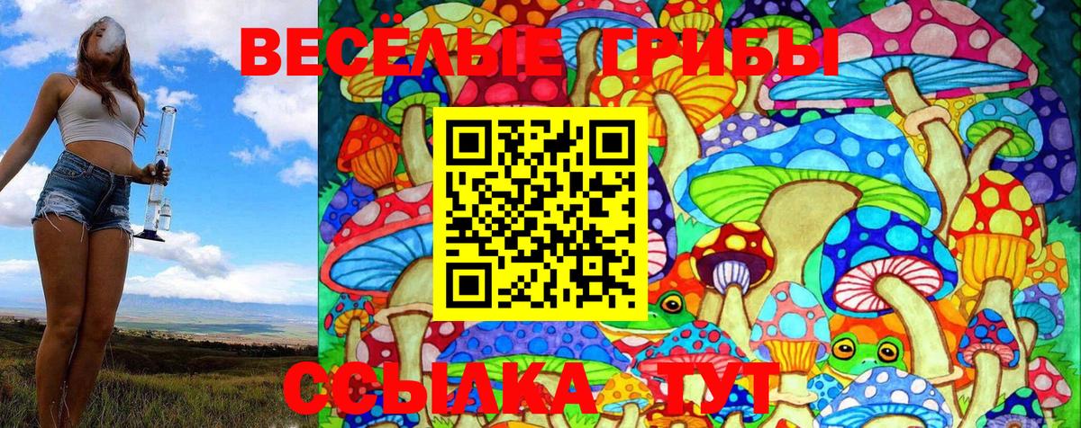 Малгобек  Галлюциногенные грибы MAGIC MUSHROOMS  хочу   Вход с VPN 